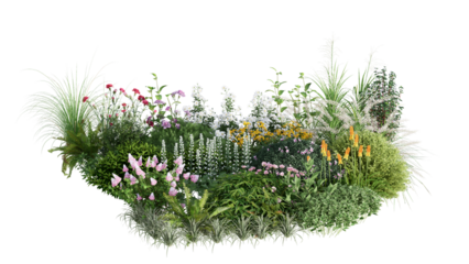 3d rendering illustration nature meadow bush on lawn grass field beautiful plant on isolate background landscape