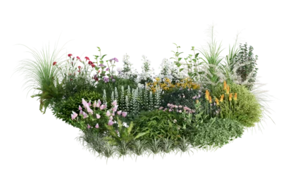 3d rendering illustration nature meadow bush on lawn grass field beautiful plant on isolate background landscape