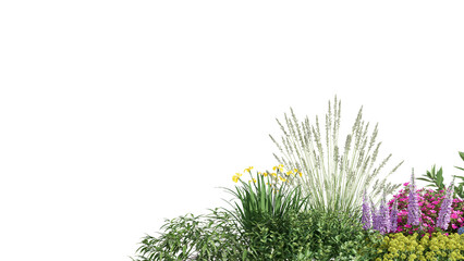 3d rendering illustration nature meadow bush on lawn grass field beautiful plant on isolate background landscape