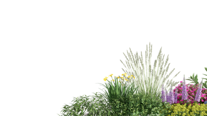 3d rendering illustration nature meadow bush on lawn grass field beautiful plant on isolate background landscape