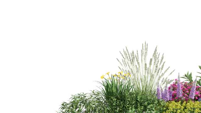3d rendering illustration nature meadow bush on lawn grass field beautiful plant on isolate background landscape