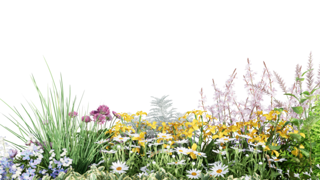 3d rendering illustration nature meadow bush on lawn grass field beautiful plant on isolate background landscape