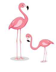 Obraz premium pink flamingo vector illustration