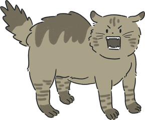 화난 고양이 모습