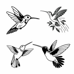 humming bird hovering High Quality Editable Mandala Vector Design and illustration