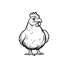 hen illustration