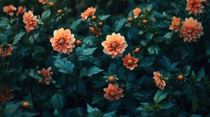 A field of orange flowers with green leaves. Generative AI