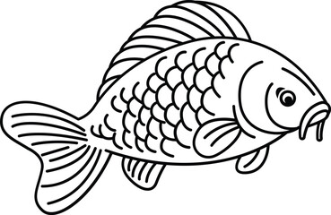 Carp Fish Illustration Outline Black White