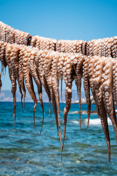 Octopus tentacles hanging to dry outdoor near the mediterranean sea, Greece