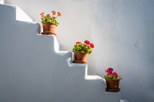 Flower pots on a staircase of a white building, Paros, Greece