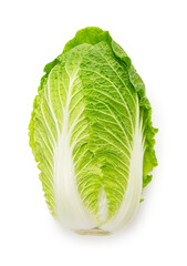 Fototapeta premium Fresh Chinese Cabbage Isolated on White Background