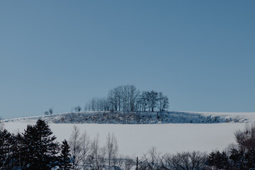 北海道美瑛冬の風景09
