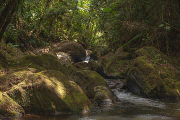 waterfall in the forest
