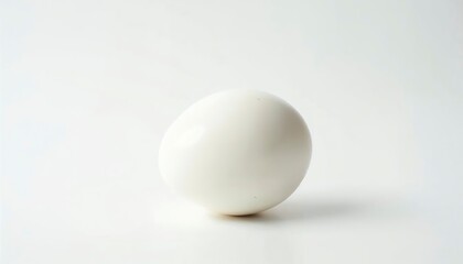 Single White Egg: Minimalist Still Life Photography