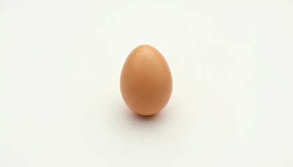 Single Brown Egg: Minimalist Still Life Photography