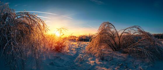 Winter landscape frosty trees in winter forest in the sunny morning. Winter landscape with snowy...