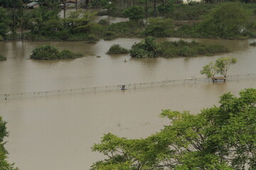 East Sumba, East Nusa Tenggara, Indonesia –  04. 07. 2021 – Cyclone Seroja caused heavy flooding, destroyed the dam, submerged houses, and toppled large trees in Waingapu © HeinrichDengi