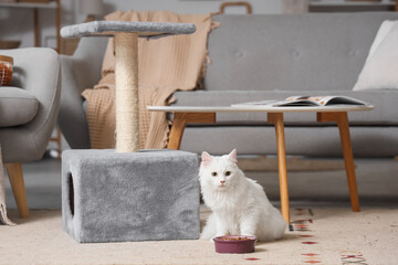 Cute white cat with feeding bowl and scratching post at home
