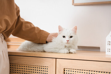 Woman and cute white cat lying on commode at home, closeup