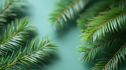 Abstract tropical mint-colored background with subtle palm tree shadows, offering a fresh and modern backdrop for product presentations or mockup designs.