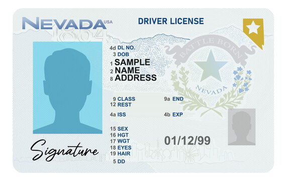 Nevada driver's license isolated on white background. Person State ID .