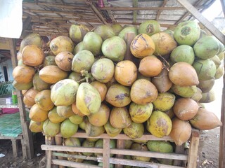 Fresh coconuts