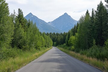 Mountain road asphalt scenic drive summer travel