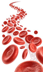 Flowing red blood cells isolated on transparent or white background, png 