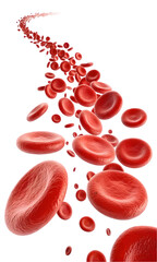 Flowing red blood cells isolated on transparent or white background, png 