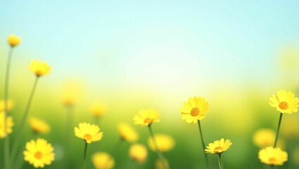 Fluffy Yellow Wildflowers in a Sunlit Meadow