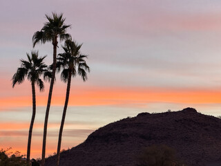 Sunset in the desert
