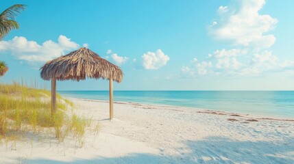 Enjoy the serene beach view from beneath a palm shade, with gentle waves and soft white sand on a bright, sunny day