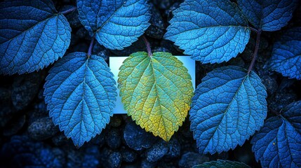 Fresh green leaves and a white square frame in a creative flat lay design, providing a stylish backdrop for advertising cards or invitations with a nature-inspired feel.