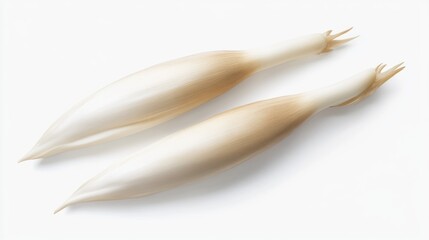 Two fresh ginger flowers, studio shot, white background, food photography