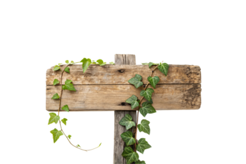 A vertical wooden cross-shaped sign with ivy climbing along its surface, combining natural beauty with a rustic design. Isolated on a transparent background