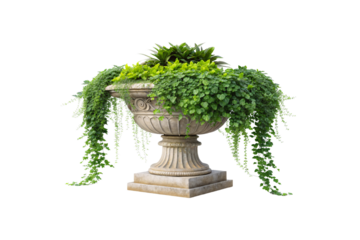 Decorative garden urn adorned with green cascading vines, dense foliage, and a central cluster of spiky plants, exuding timeless elegance and organic beauty. Isolated on a transparent background