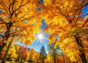 Autumn's golden glow bathes a landscape of vibrant yellow trees and scenic beauty.