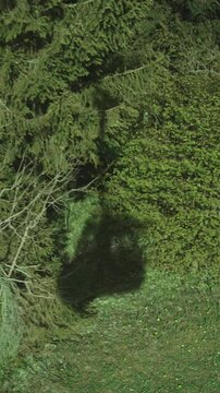 Shadow of a Cable Car Moving Over Forest Landscape vertical video