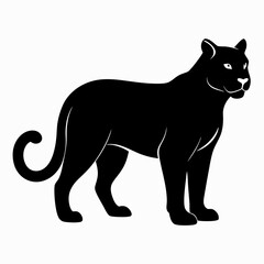 cougar animal silhouette on white background