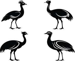 Houbara Bustard Silhouette Icon Set - Black Vector Illustration.