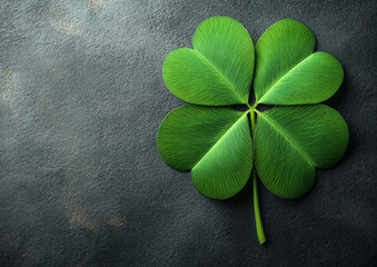 four leaf clover on green