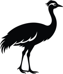 Houbara Bustard Silhouette Icon Set - Black Vector Illustration.