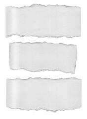 Download Ripped Paper Texture Transparent 