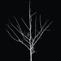 Silhouette of bare tree with branches isolated on black background. Black and white vector illustration
