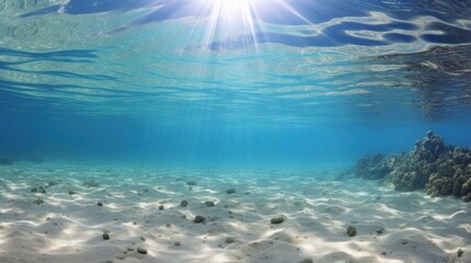 underwater scene sunny ocean sandy bottom coral reef