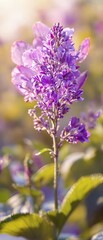 Fototapeta premium Close-up shot of a purple flower's intricate details including petal and leaf structures with vibrant colors and soft focus background., leaf texture, purple flower