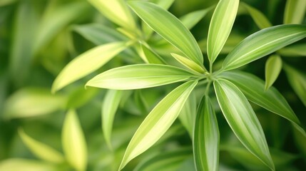 Obraz premium Close-up of plant with green leaves