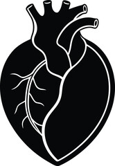 Decorative human heart vector illustration, human heart silhouette vector, human heart line art vector design, human heart isolated icon