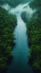 Misty River Valley: An Aerial View of Serene Nature