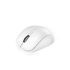computer mouse isolated on white